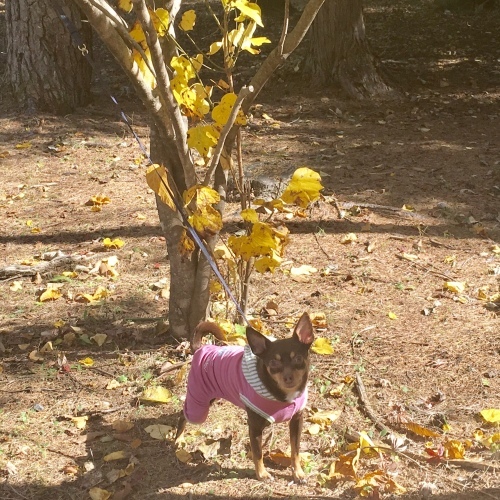 a0291132_00251365.jpeg
