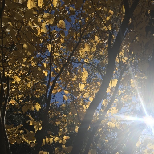 a0291132_00253213.jpeg