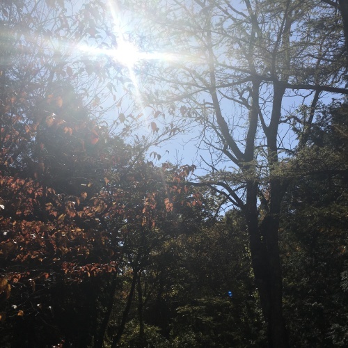 a0291132_00300028.jpeg