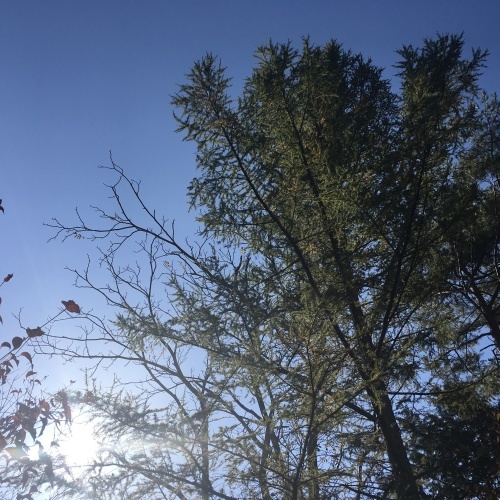 a0291132_00302805.jpeg