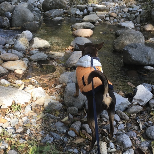 a0291132_00332101.jpeg
