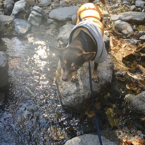 a0291132_00344017.jpeg