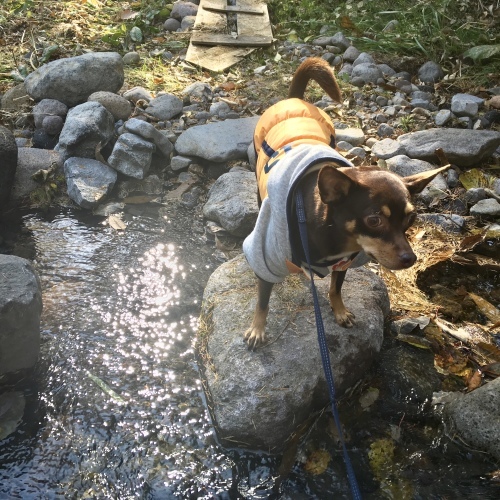 a0291132_00380126.jpeg