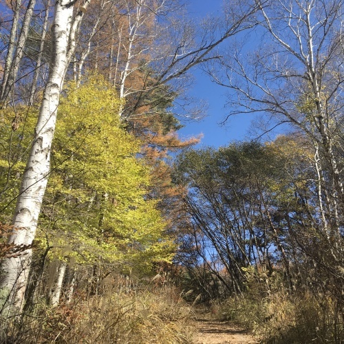 a0291132_12241451.jpeg