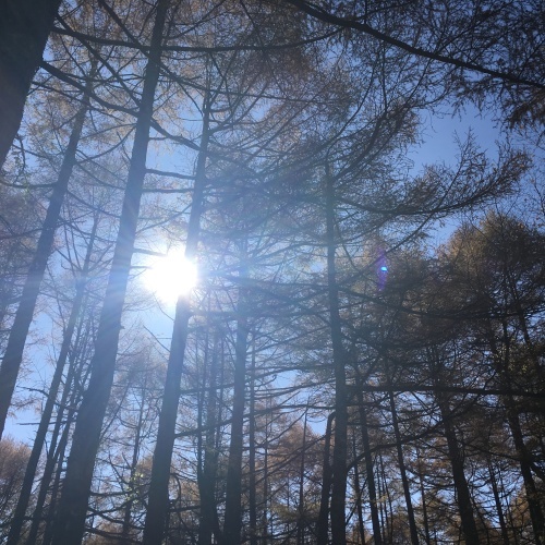 a0291132_12363146.jpeg
