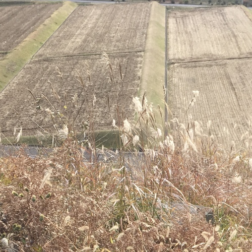 a0291132_18560749.jpeg