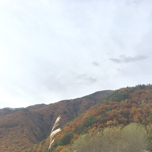a0291132_18562171.jpeg