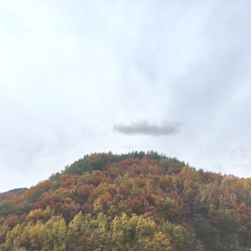 a0291132_18563540.jpeg