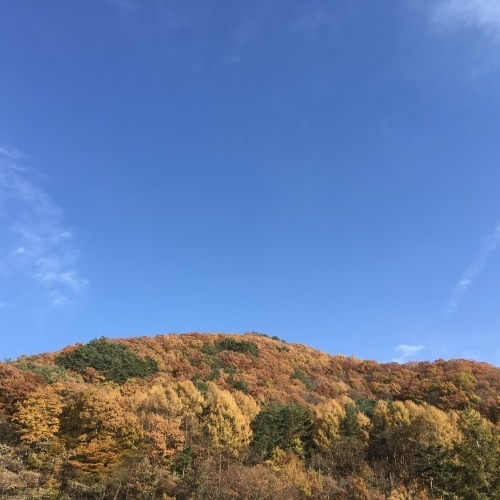 a0291132_19173817.jpeg