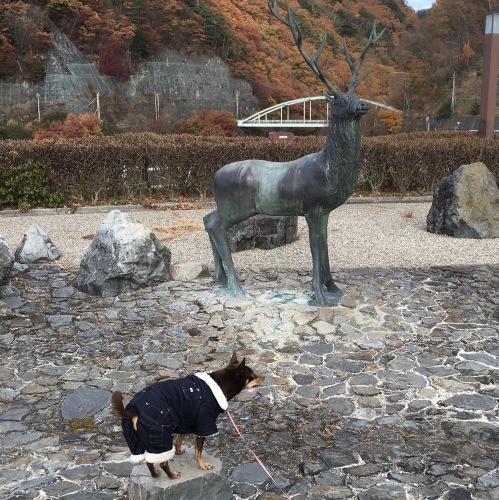 a0291132_19202772.jpeg