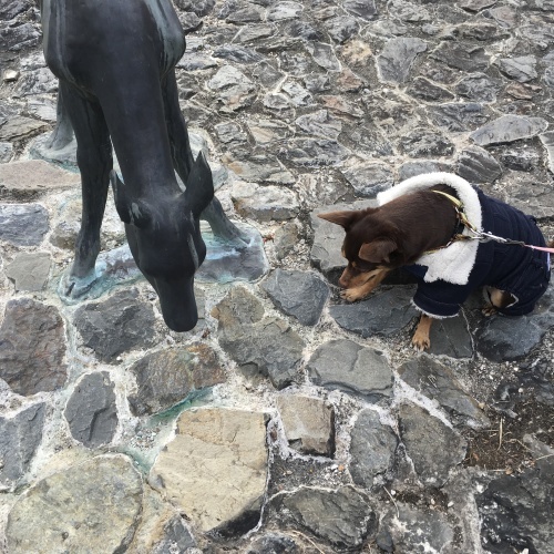 a0291132_19205612.jpeg