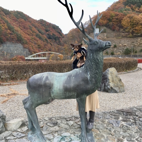 a0291132_19223818.jpeg