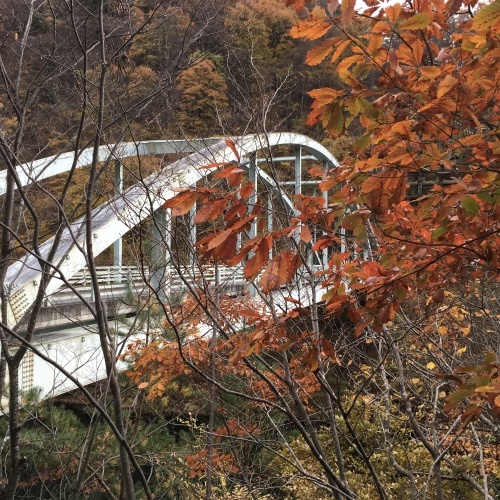 a0291132_19261403.jpeg