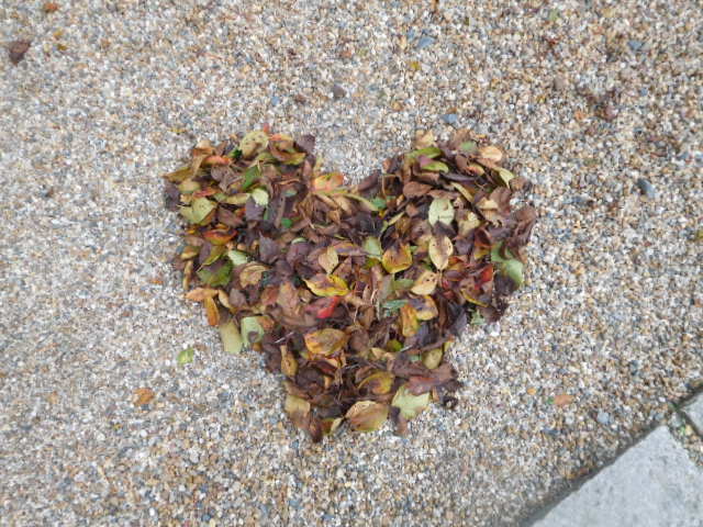 正寿院　落葉が。。。 ＜お茶の京都・宇治田原町⑤＞_d0106134_23340406.jpg