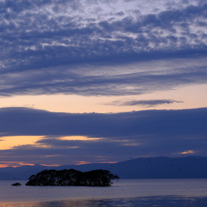 湖北　20171113#３_f0050534_07372439.jpg