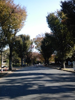 a0163738_14235415.jpg