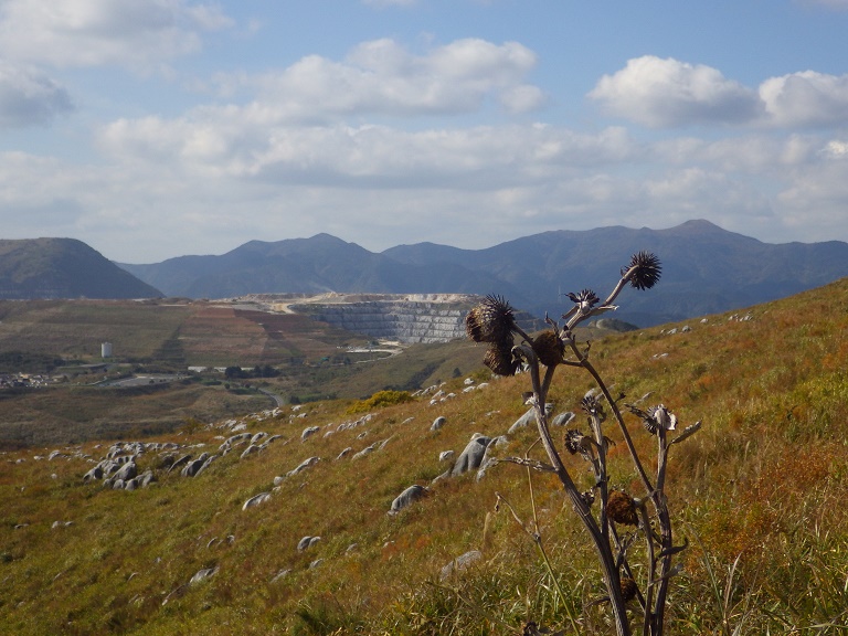 e0164643_11194719.jpg