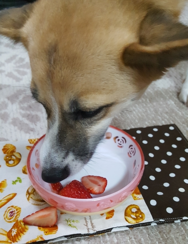 15日は いちごの日&#127827;_a0353444_21500979.jpg