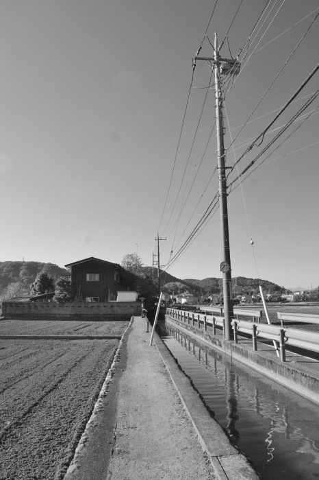 d0185744_19044926.jpg