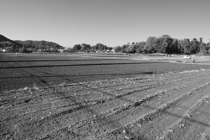 d0185744_19055459.jpg