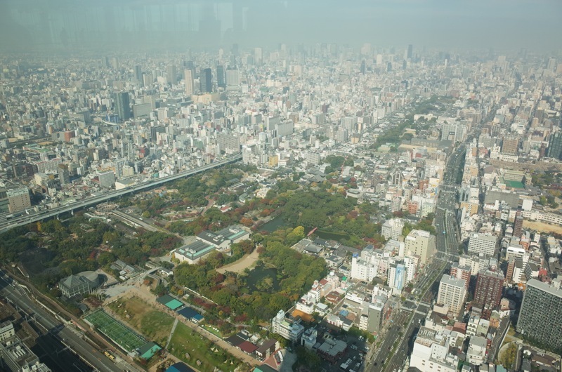 f0169147_06181398.jpg