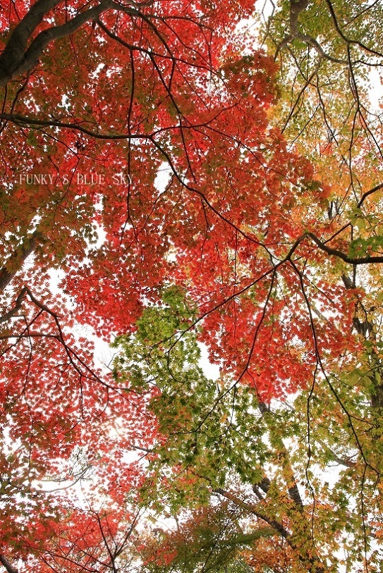 c0145250_09261333.jpg