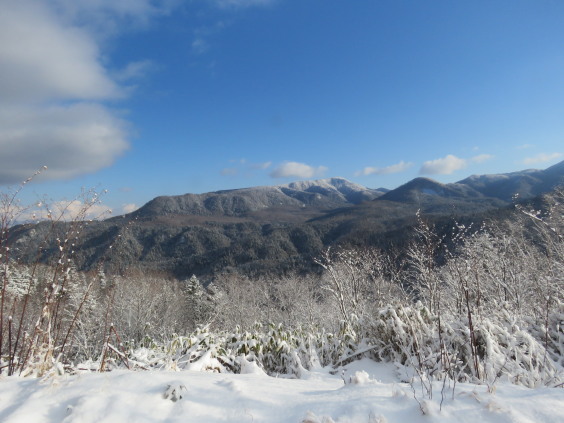 雪の尻別川　撮り逃がした魚は大きい？_b0366555_12571717.jpg