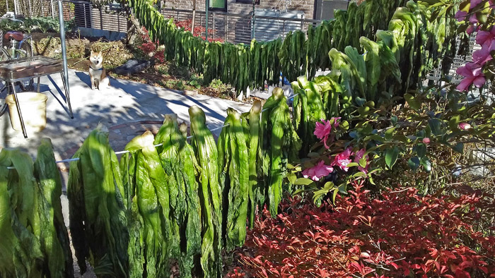 b0277159_22175531.jpg