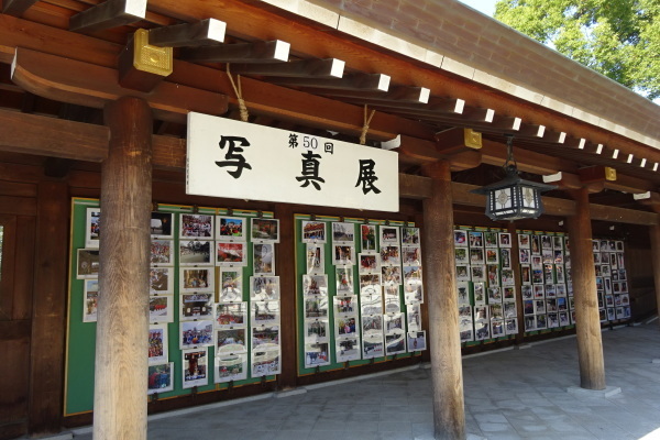 寒川神社・菊花展／写真展（2017.11.17）_d0239667_19262000.jpg