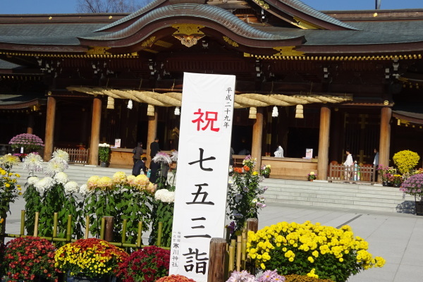 寒川神社・菊花展／写真展（2017.11.17）_d0239667_19275518.jpg