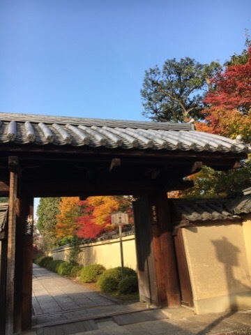 大徳寺から今宮神社の紅葉🍁_f0363168_17510737.jpg