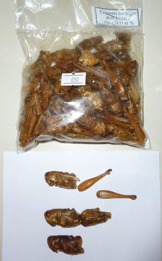 サバクトビバッタを食す アフリカに「思いやり」