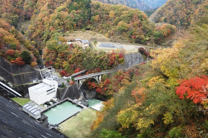 b0311071_20233430.jpg