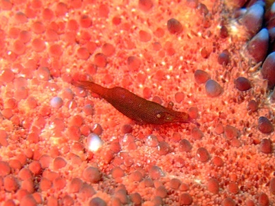 b0033573_20451845.jpg