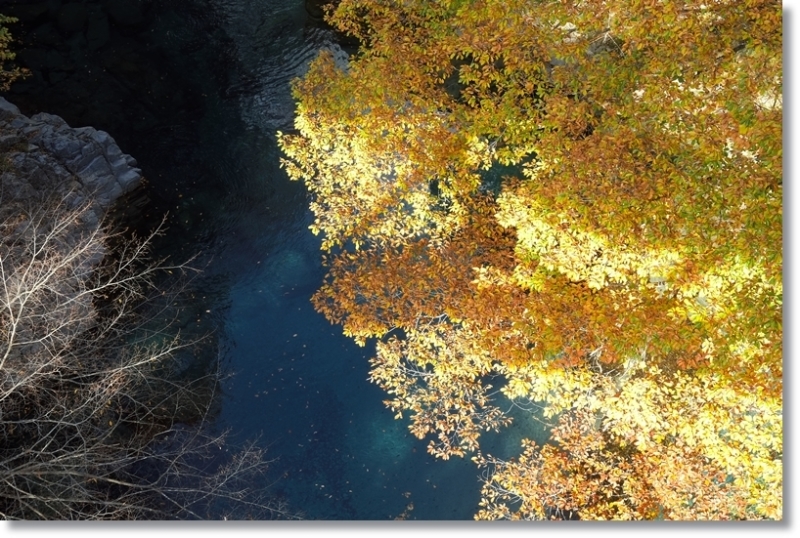 紅葉_c0054876_15191515.jpg
