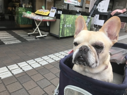 d0048577_09162625.jpeg