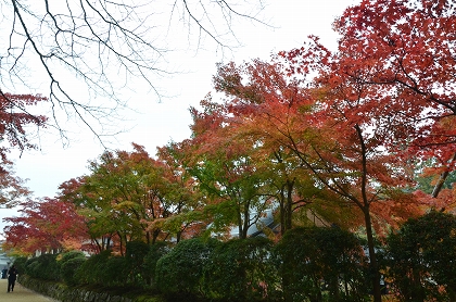 c0229483_0321543.jpg