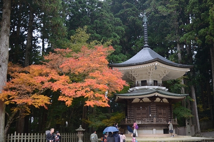 c0229483_0593351.jpg