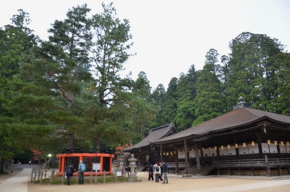 c0229483_12409.jpg