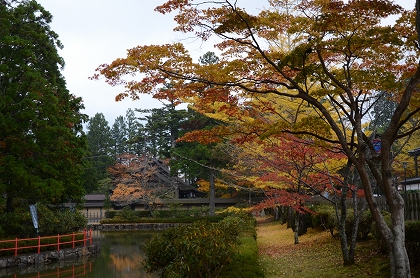 金剛峯寺付近の紅葉_c0229483_19123794.jpg