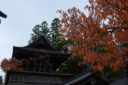 金剛峯寺付近の紅葉_c0229483_1913699.jpg