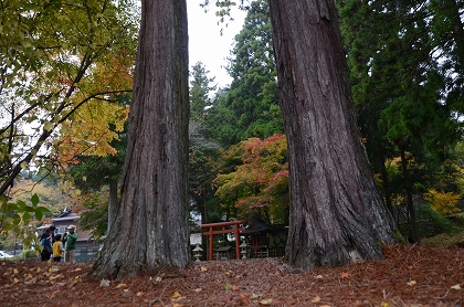 金剛峯寺付近の紅葉_c0229483_19173343.jpg