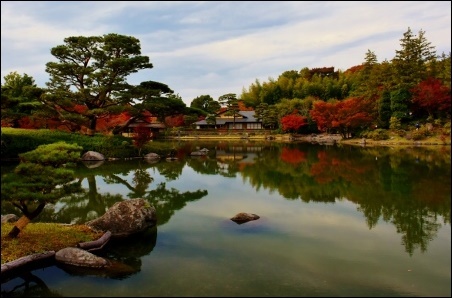 昭和記念公園の黄葉と紅葉_a0133484_13242164.jpg