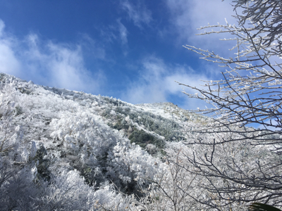 湯の丸山〜烏帽子岳へ_d0261589_22331371.jpg