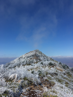 湯の丸山〜烏帽子岳へ_d0261589_22331654.jpg