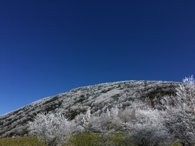 湯の丸山〜烏帽子岳へ_d0261589_22341184.jpg