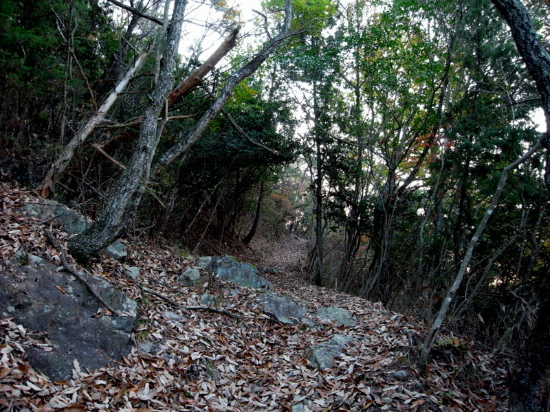 f0325295_14072694.jpg