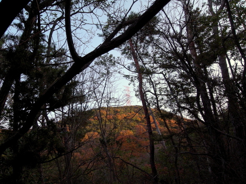f0325295_14073339.jpg
