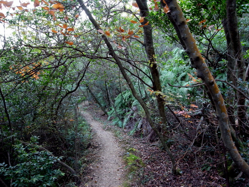 f0325295_14204442.jpg
