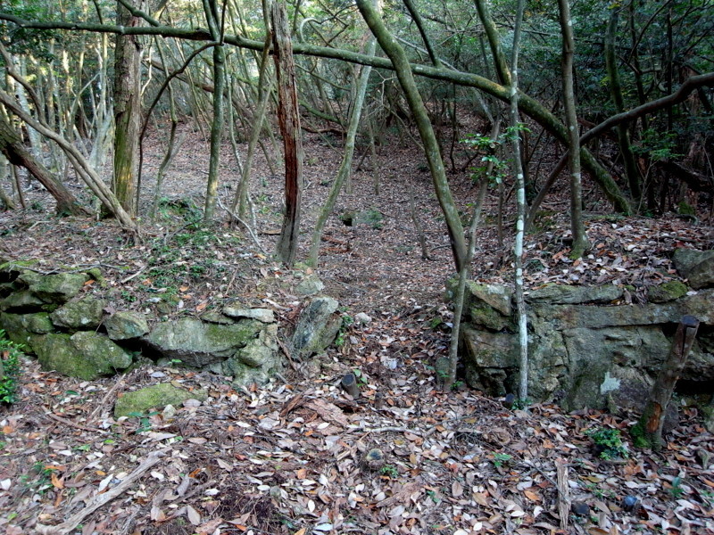 f0325295_14520420.jpg